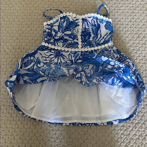 Lilly Pulitzer Blue and White Dress - Picture 3 of 5